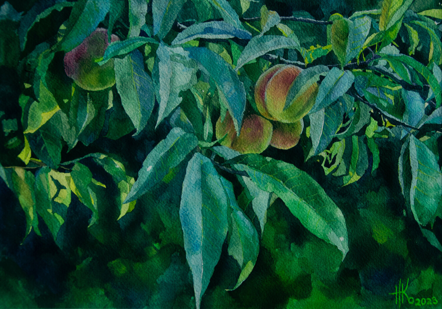 Peach Tree Zhanna Kondratenko