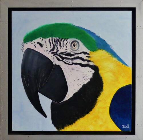 Ara bleu du Parc Amazonia von Michel Thévenot, Malerei kaufen auf Singulart