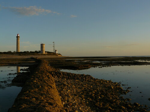 Sur la Pointe des Baleines à l'Île de Ré Michel Thévenot