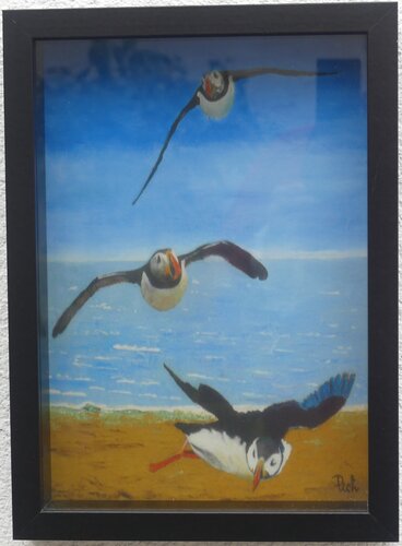 Impression Fine Art "Les macareux-moines" van Michel Thévenot, Fotografie te koop op Singulart