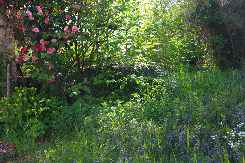 Light and Shade Jean Mirre