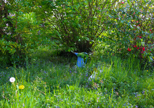 To Emily Dickinson Jean Mirre