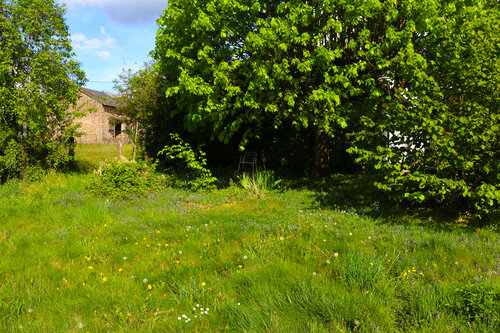 Medication meditation Jean Mirre