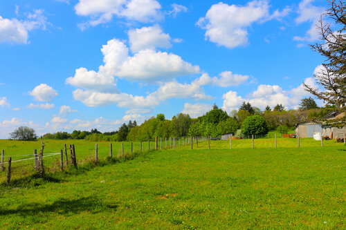 Les moutons von Jean Mirre, Fotografie kaufen auf Singulart