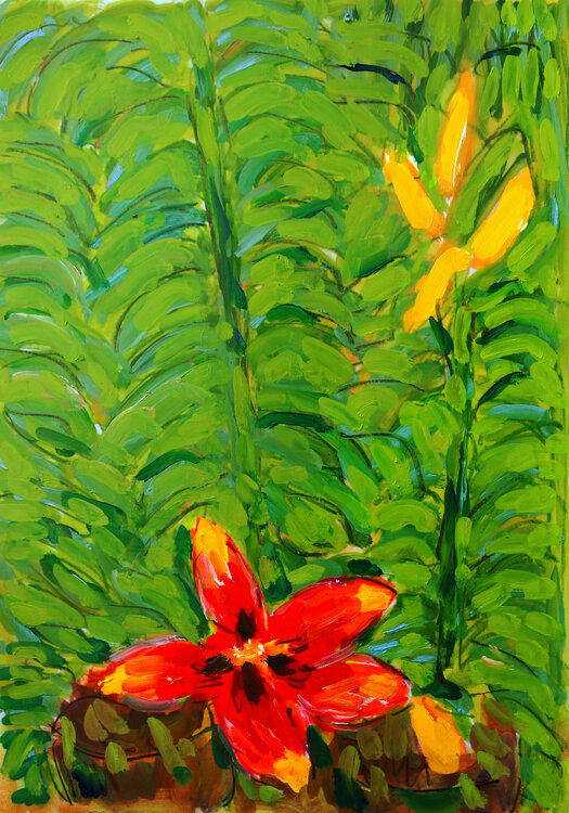 Le pouvoir des fleurs Jean Mirre