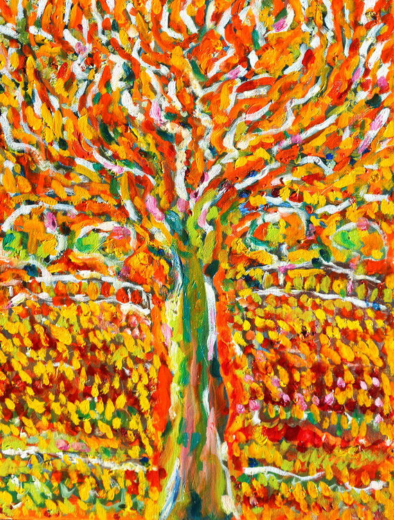 Potager Jean Mirre