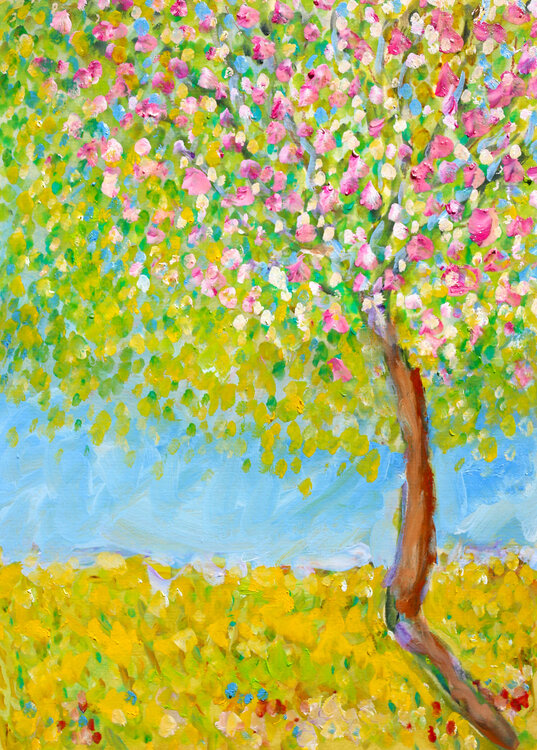 Bourgeons et ciel Jean Mirre