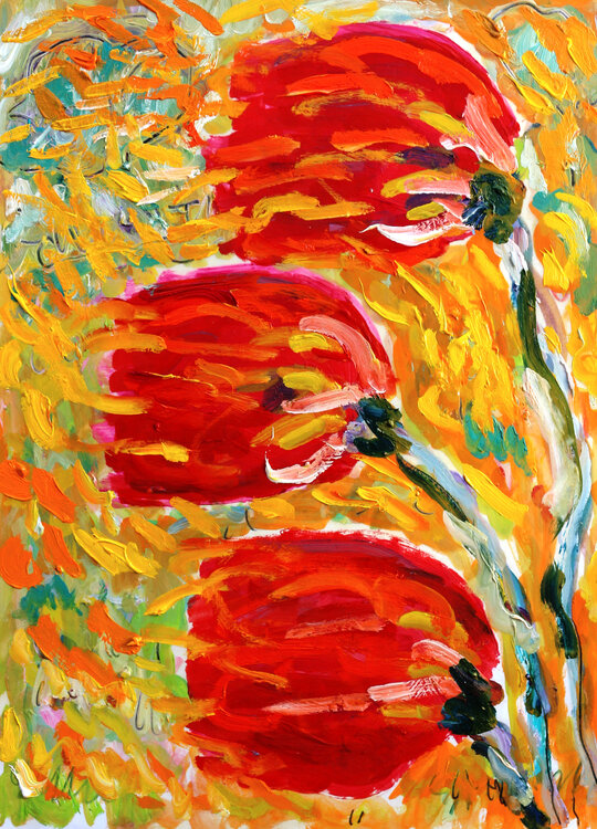 exEmotions Jean Mirre