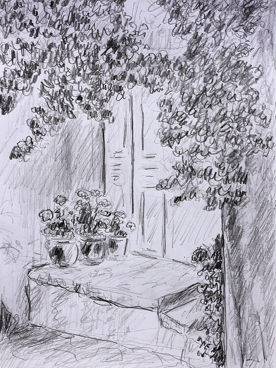 Géraniums Jean Mirre