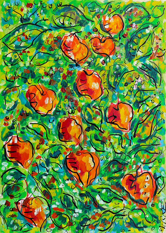 Physalis Jean Mirre