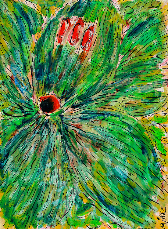 Pollen Jean Mirre