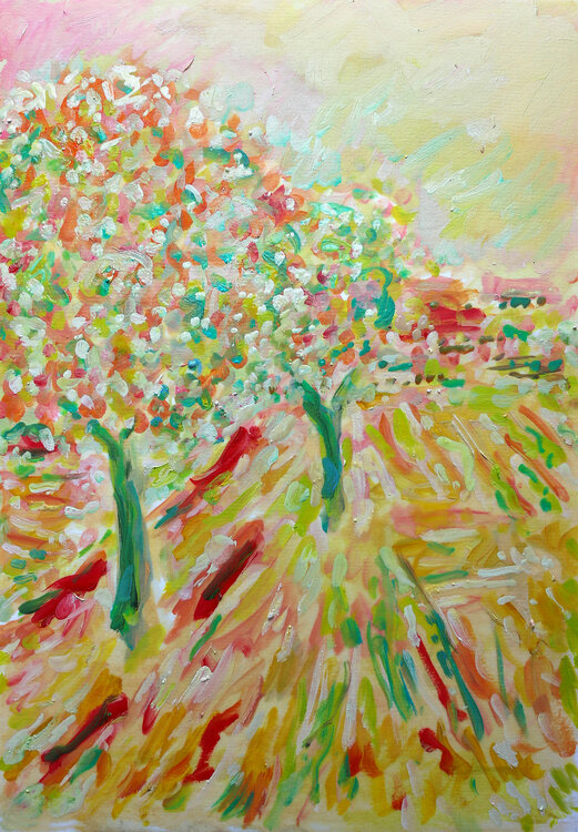 OPENFIELD Jean Mirre