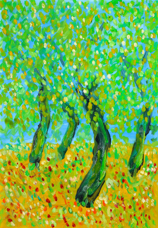 Causses Jean Mirre
