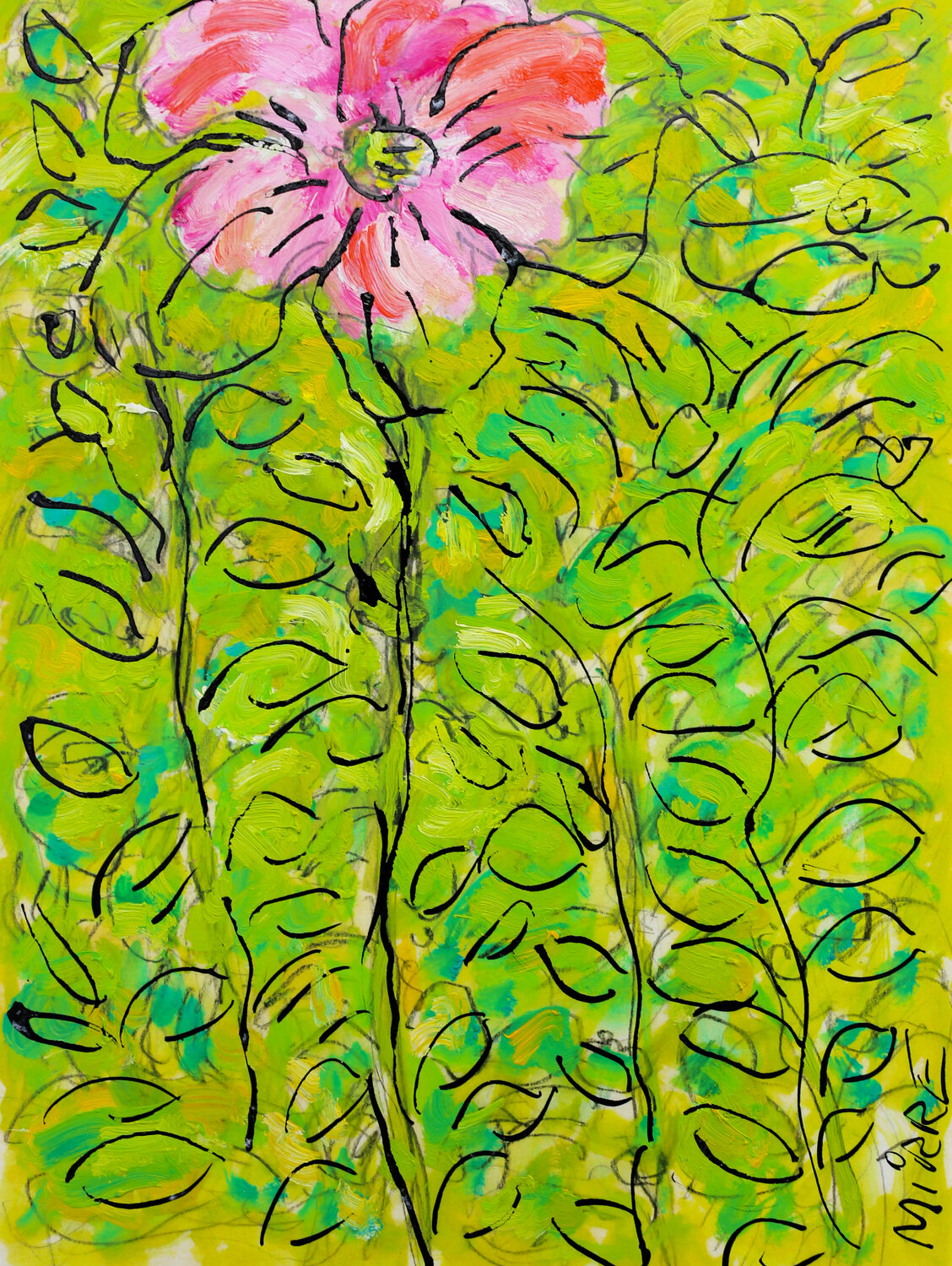 Rose trémière Jean Mirre