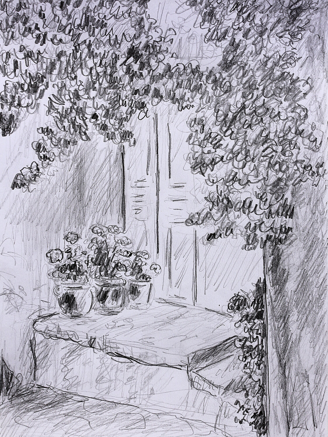 Géraniums Jean Mirre