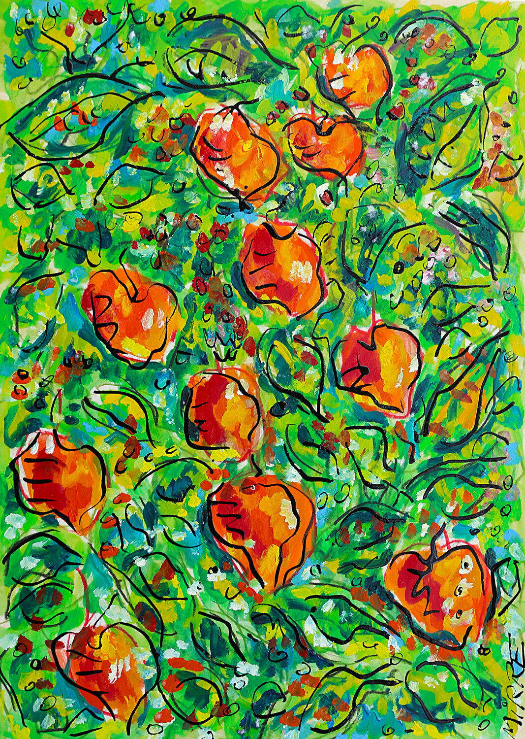 Physalis Jean Mirre