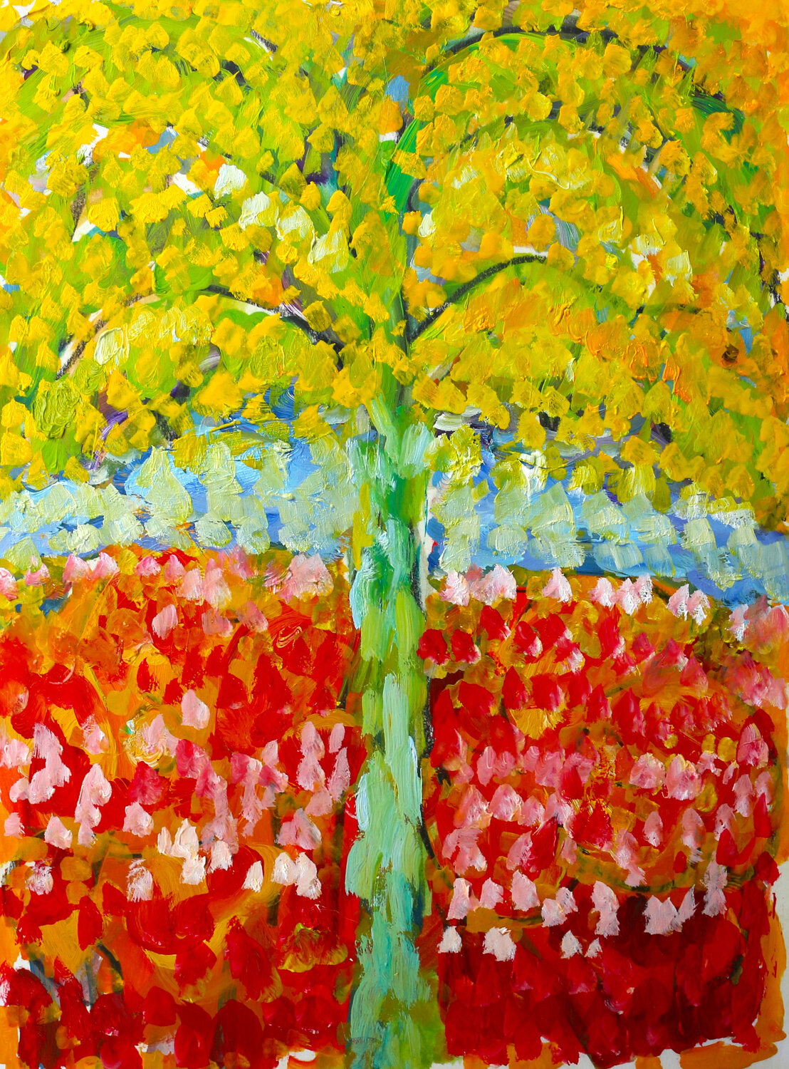 Palm tree Jean Mirre