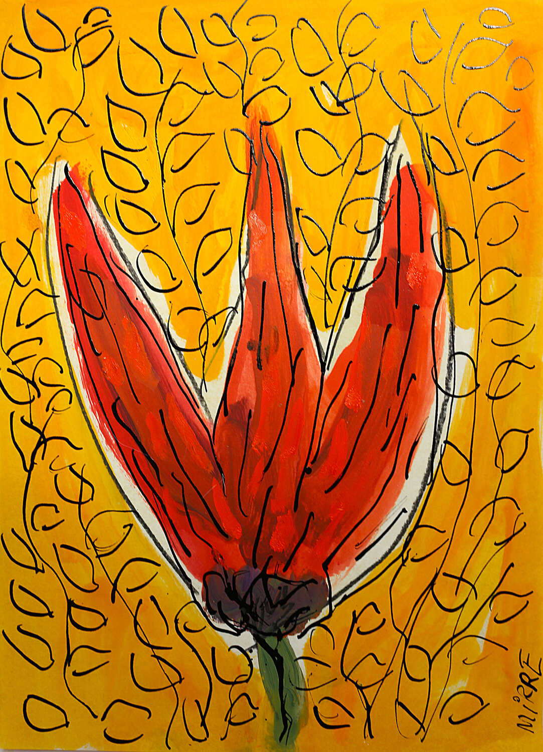 Tulipe rouge Jean Mirre