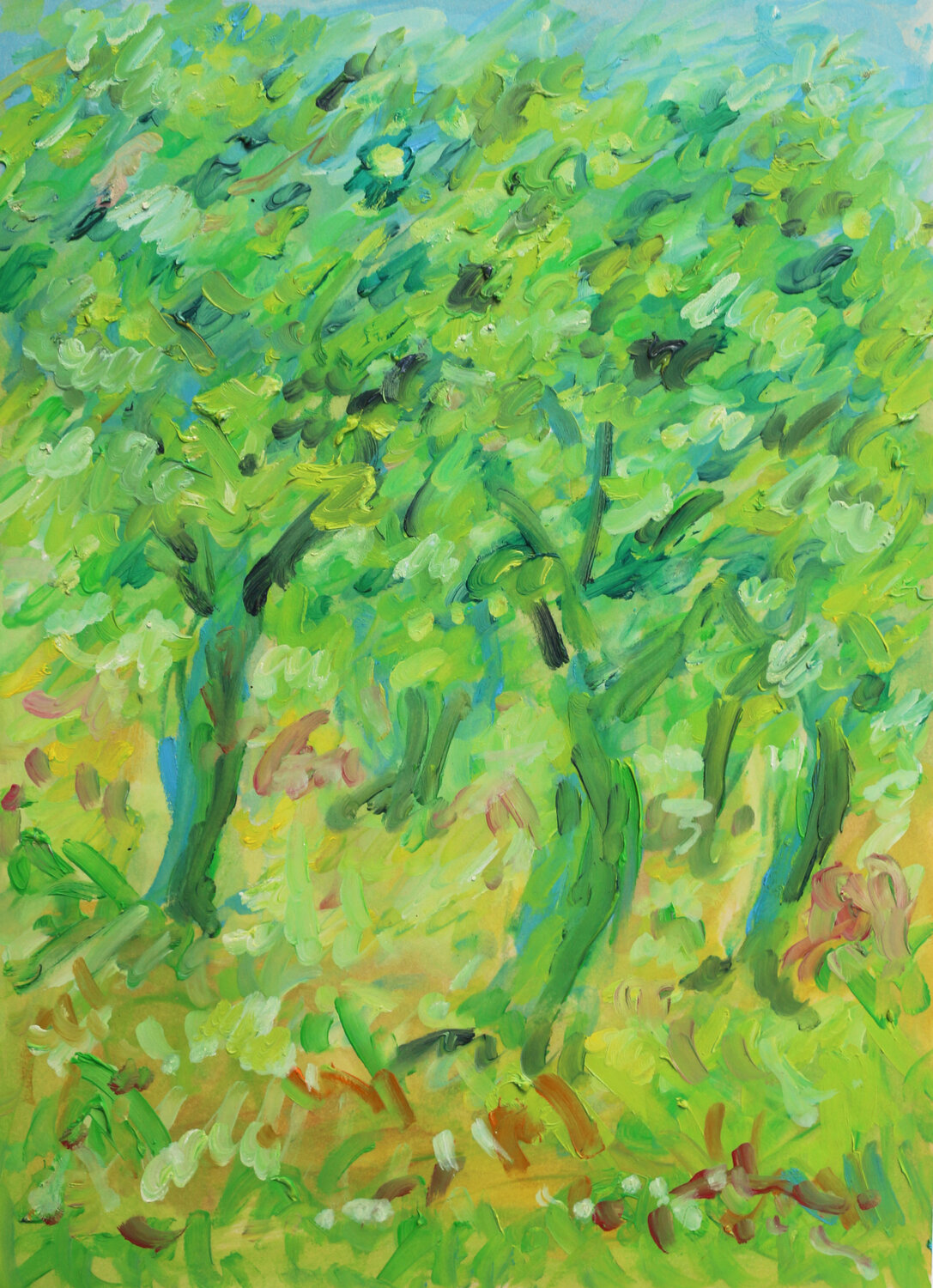 Olive trees Jean Mirre Work on Paper for sale