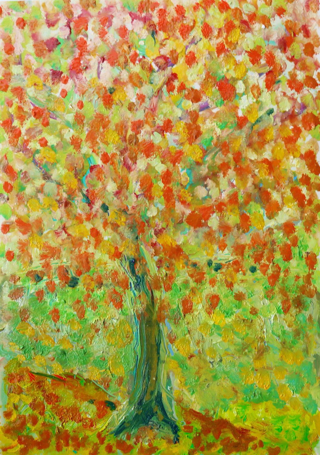 Sycamore Jean Mirre