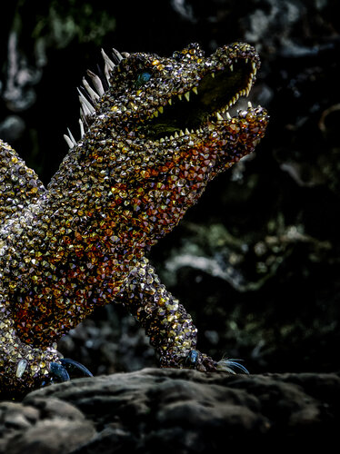 TROODON von Marina Della Preda, Fotografie kaufen auf Singulart