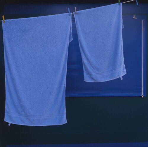 TOILE #5 Michel Massi