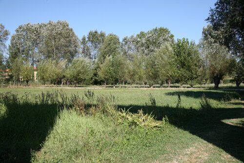 Parole d'or # 3 van Michel Massi, Fotografie te koop op Singulart