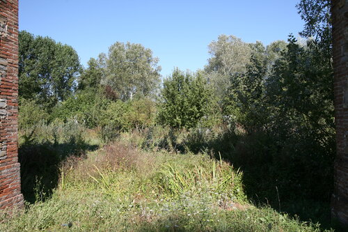 Parole d'or # 4 von Michel Massi, Fotografie kaufen auf Singulart