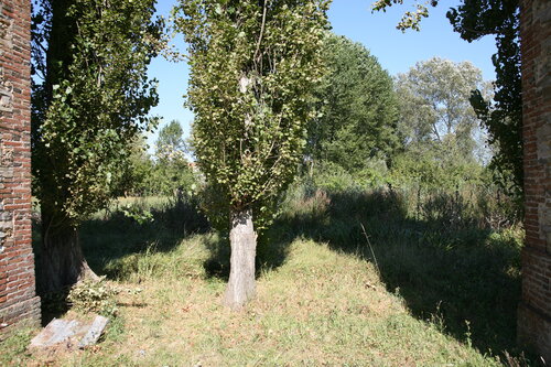 Parole d'or # 7 Michel Massi