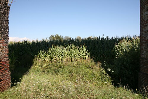 Parole d'or # 8 Michel Massi