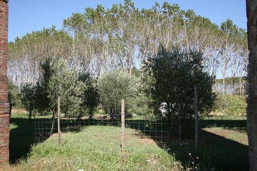 Parole d'or # 12 Michel Massi