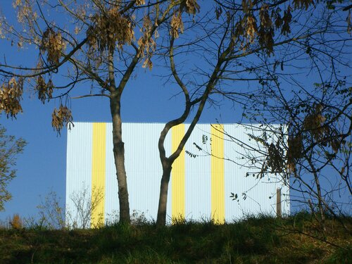 feuilles suspendues Michel Massi