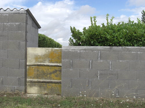 après la pluie von Michel Massi, Fotografie kaufen auf Singulart