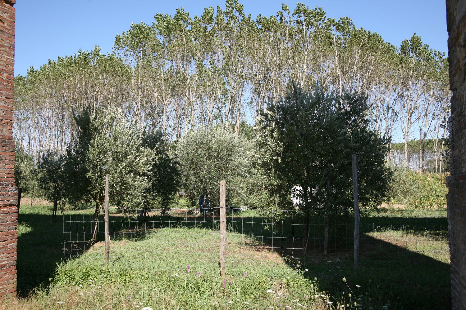 Parole d'or # 12 Michel Massi