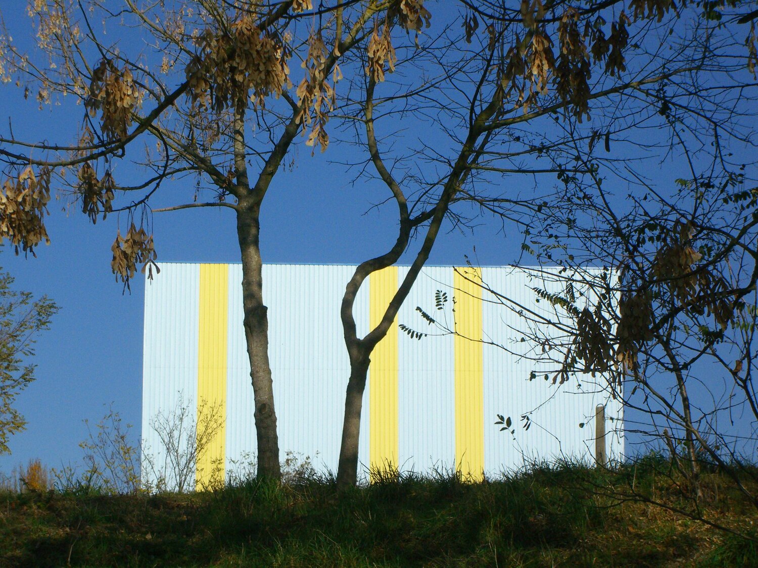 feuilles suspendues Michel Massi