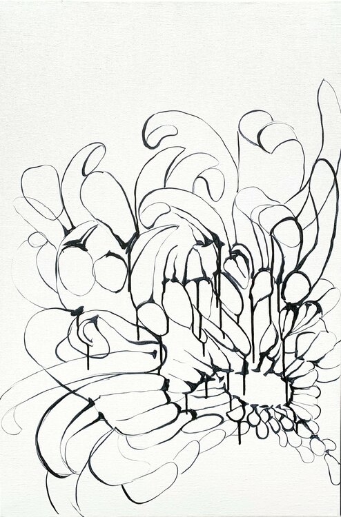 Why Do Flowers Bloom? Netka Croonenborghs