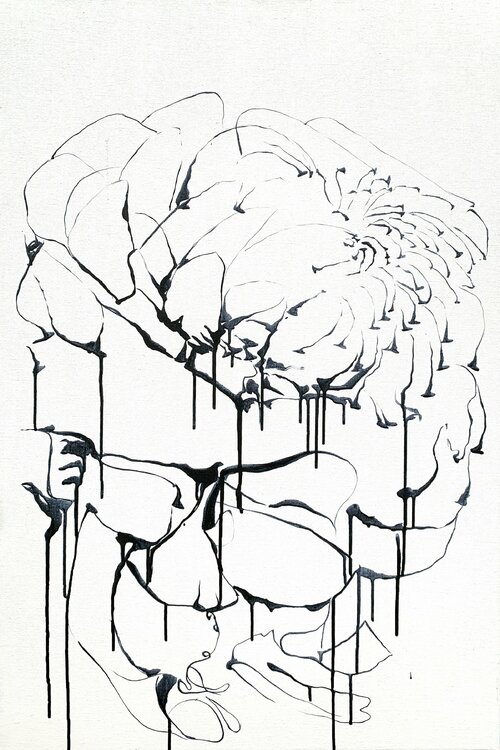 Why Do Flowers Fade? Netka Croonenborghs