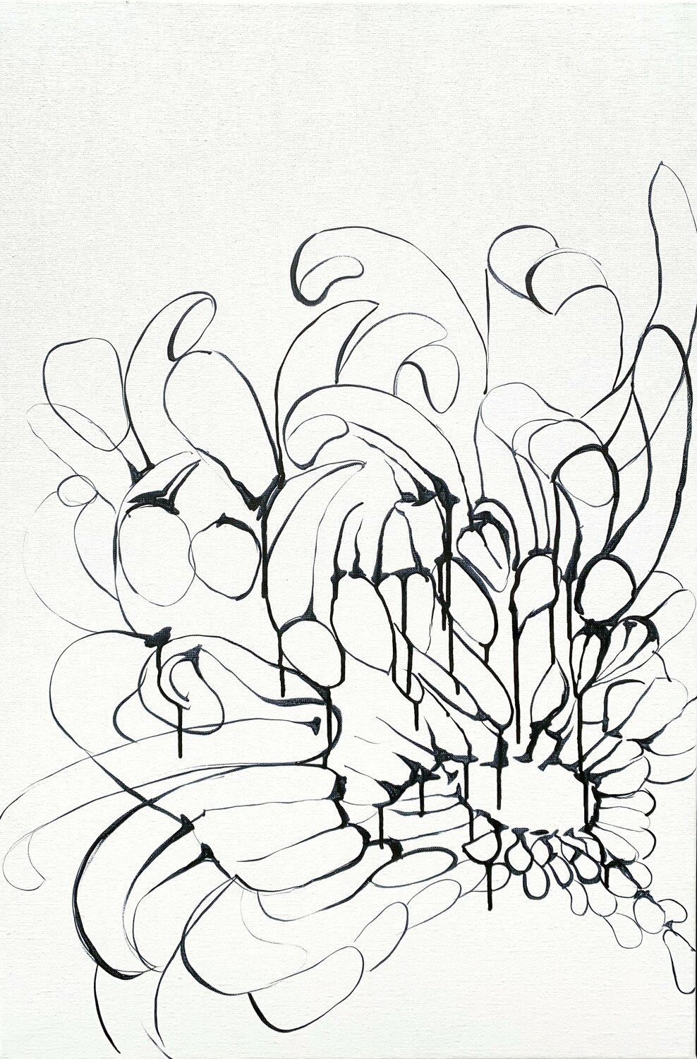 Why Do Flowers Bloom? Netka Croonenborghs