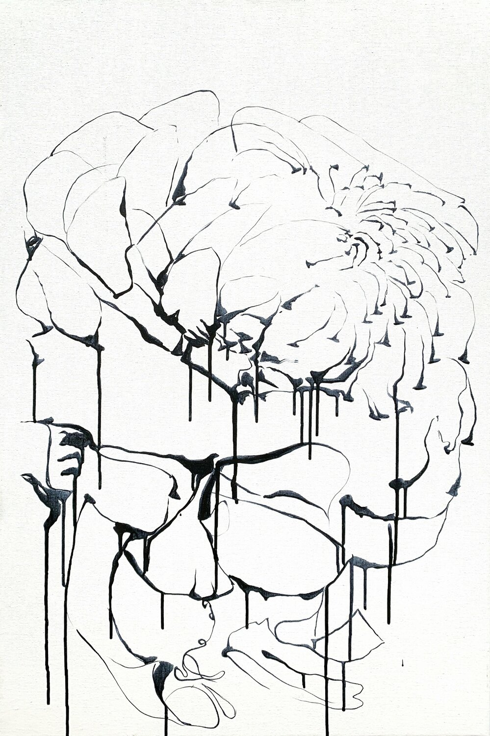 Why Do Flowers Fade? Netka Croonenborghs