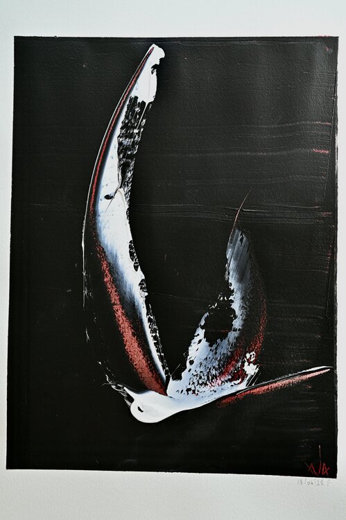 EXPRESSION pierre calogero