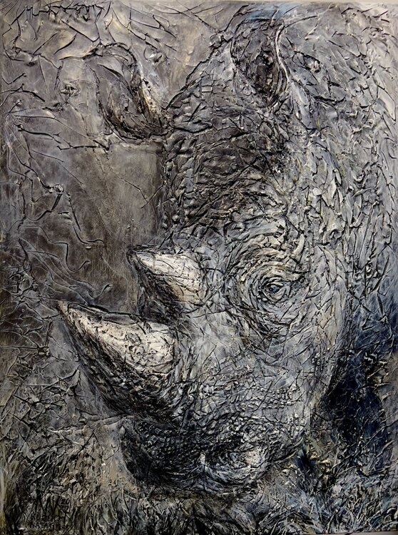Regard de rino Natalia Kuruch