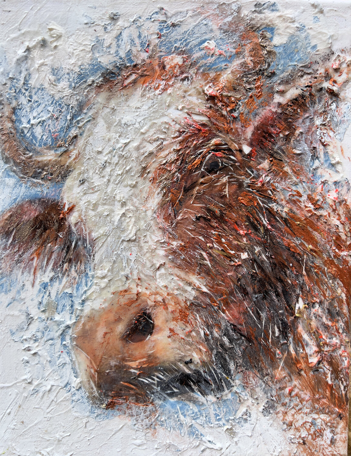 Vache curieuse Natalia Kuruch
