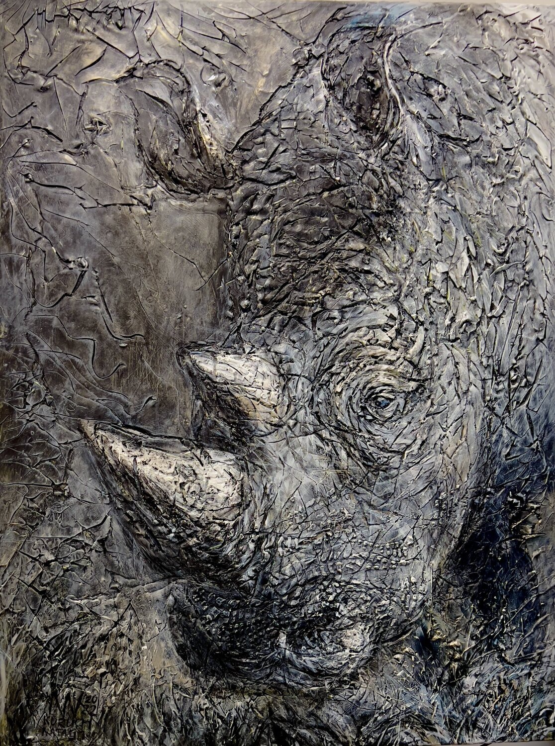 Regard de rino Natalia Kuruch