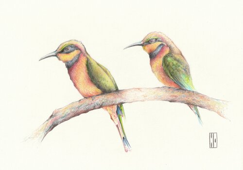 Vol en duo by Hubert Ollivier, Drawing for Sale on Singulart