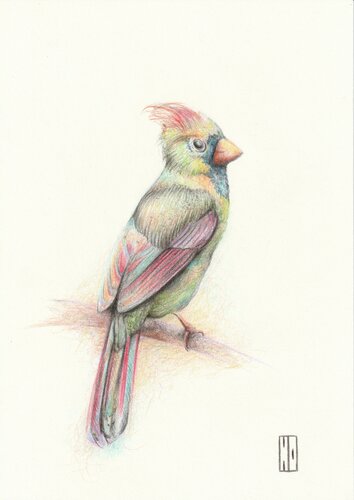 La forêt enchantée von Hubert Ollivier, Zeichnungen kaufen auf Singulart