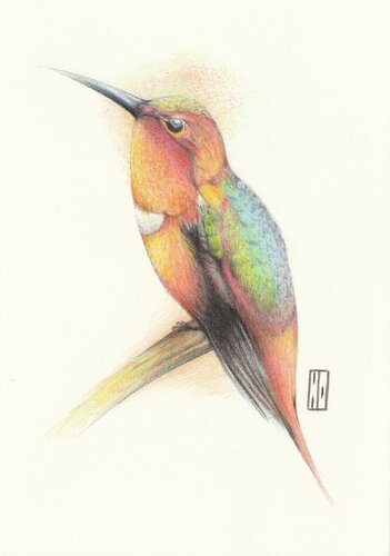 Perchoir by Hubert Ollivier, Drawing for Sale on Singulart