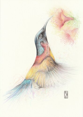Tout en légèreté by Hubert Ollivier, Drawing for Sale on Singulart