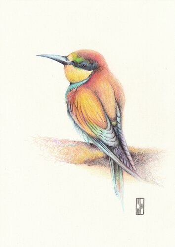 Au fond de l'estuaire de Hubert Ollivier, Dibujo a la venta en Singulart