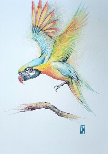 Un cocktail de couleurs von Hubert Ollivier, Zeichnungen kaufen auf Singulart