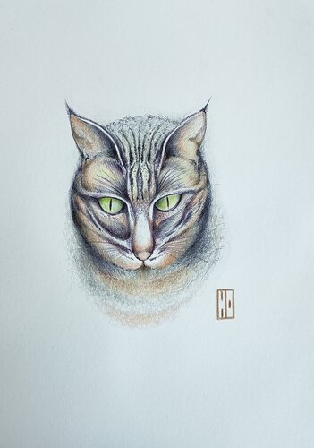 Tigrou von Hubert Ollivier, Zeichnungen kaufen auf Singulart